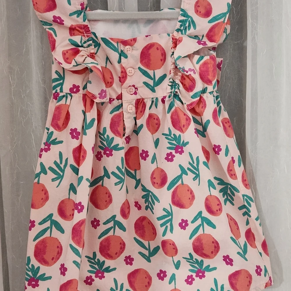 Carter's Pink and Red Peach Print Dress